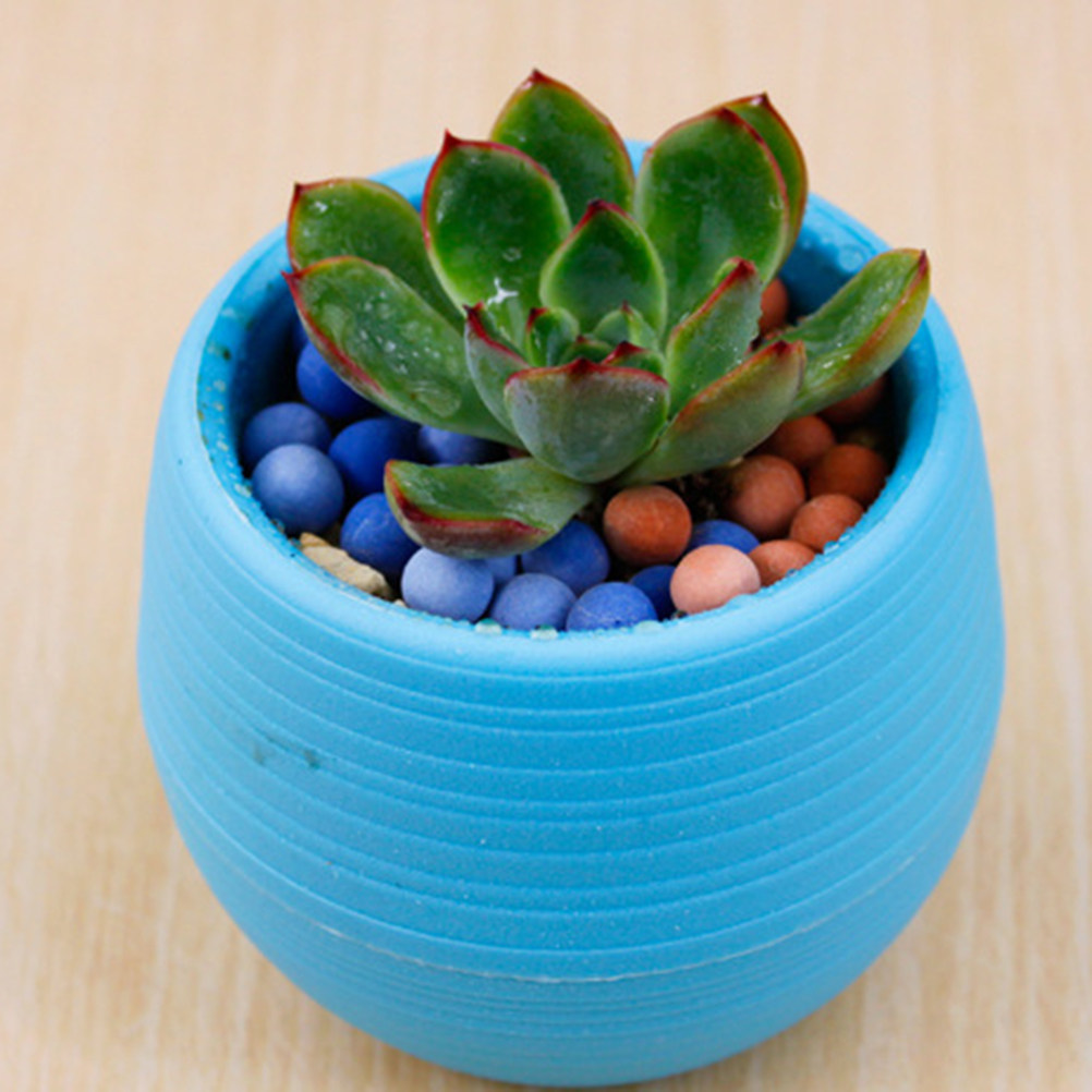 Plant Pot Small Desk - 미니 레진 다육식물 화분, 원형 단색