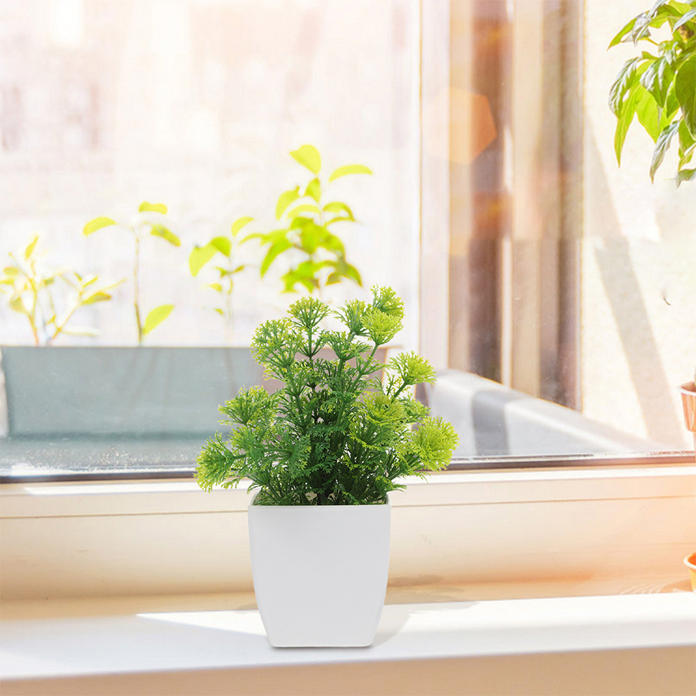 2개입 리얼리스틱 인조 분재 나무, 관리가 쉬운 소형  - Plant Pot Small Desk 리뷰 및 가격